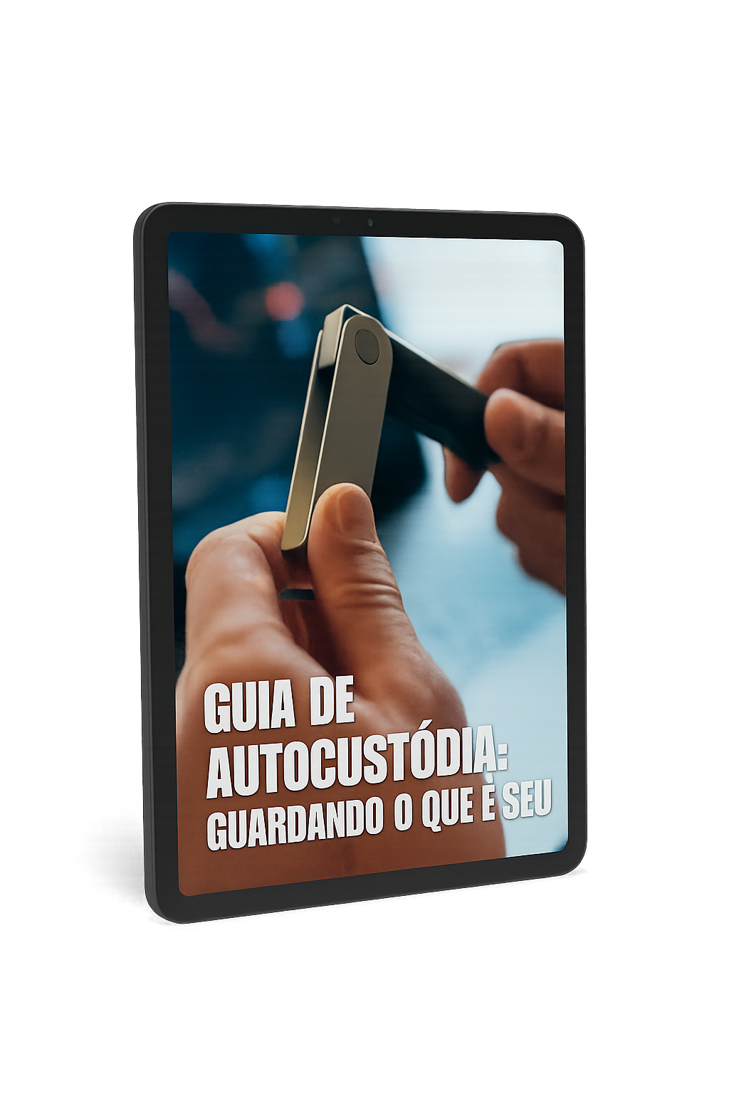 Guia de Autocustódia